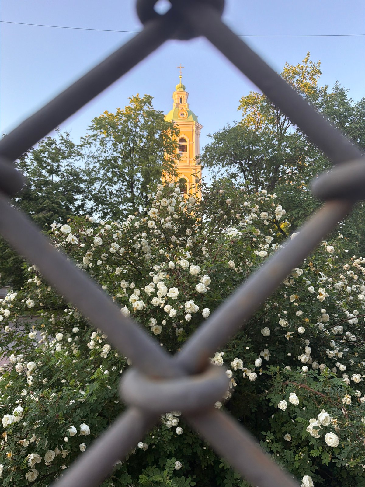 Tourist captures Saint Petersburg churches and street performers during evening stroll