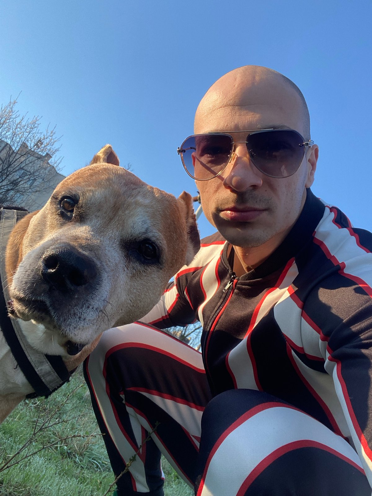 Man takes early morning selfies with dog in Pleven park