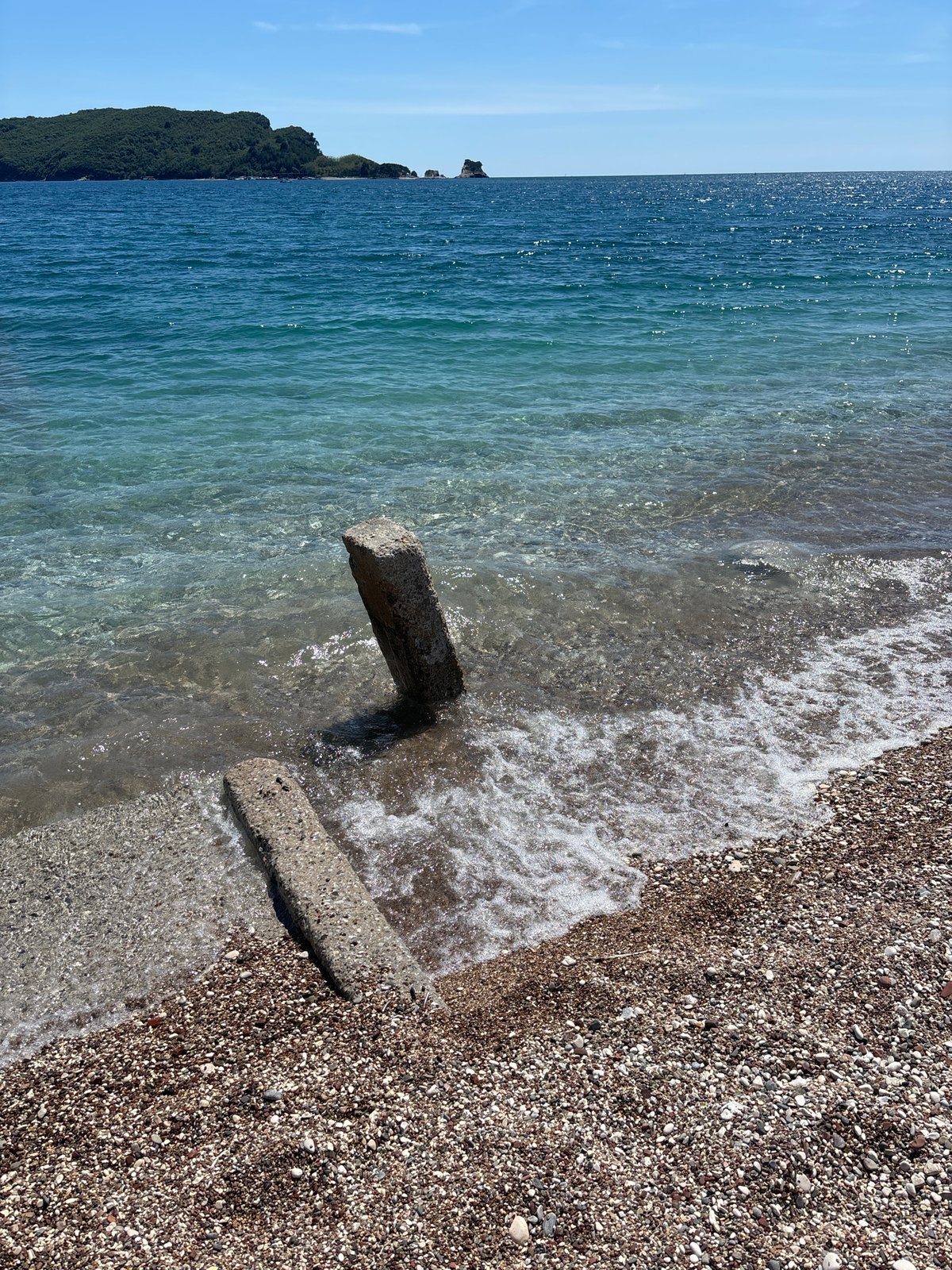 Woman walks Yorkshire Terriers on Budva beaches, Montenegro