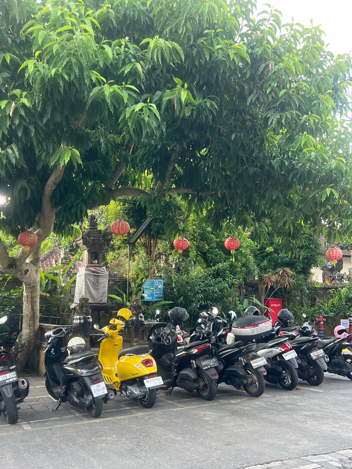 Morning street life documented in Ubud District, Indonesia