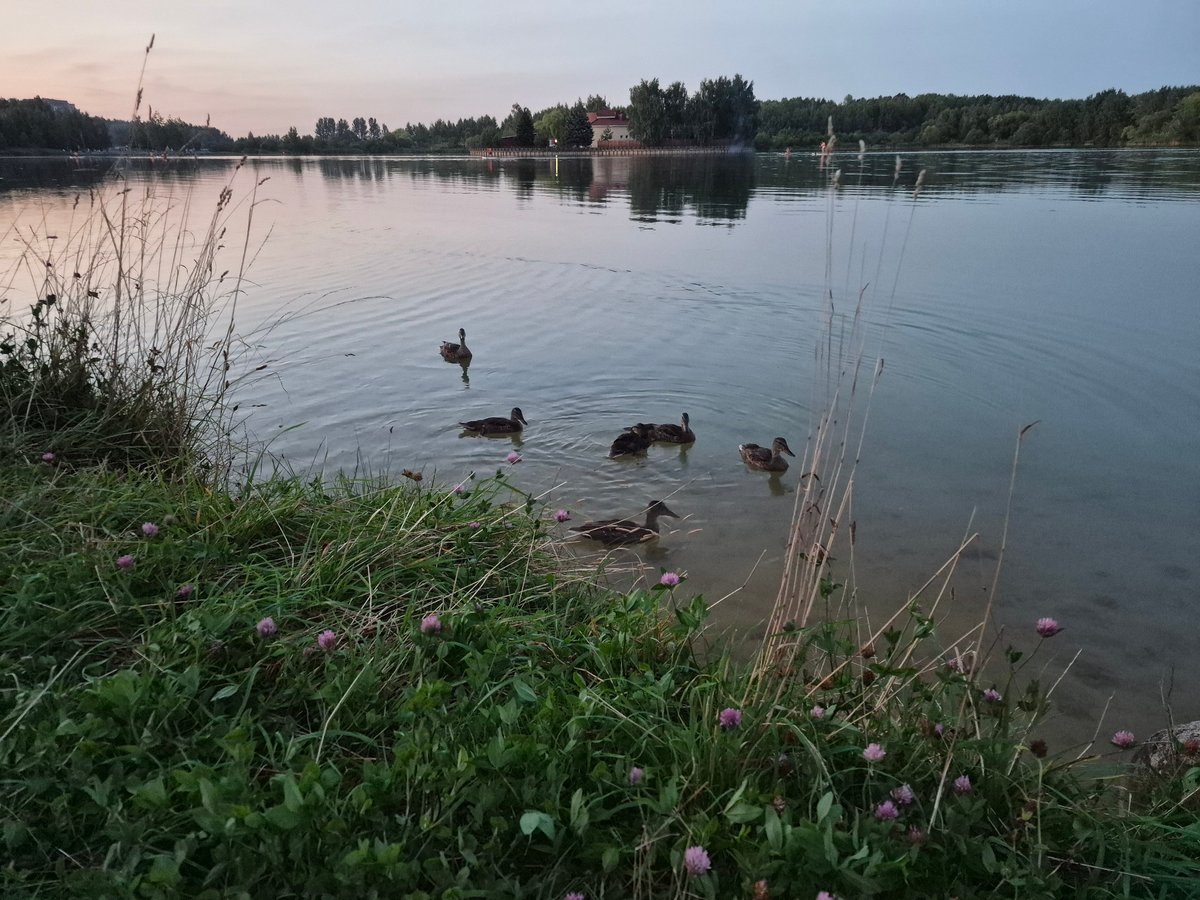 Dusk settles over a quiet lake in Minsk
