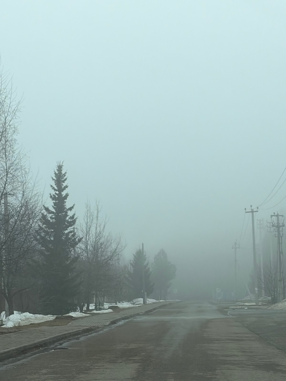 Foggy morning scenes documented in Прикамский, Russia