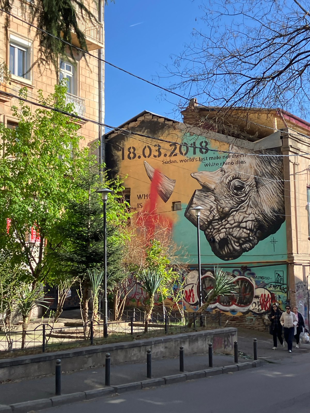 Witness captures eclectic street art and vintage finds across Tbilisi