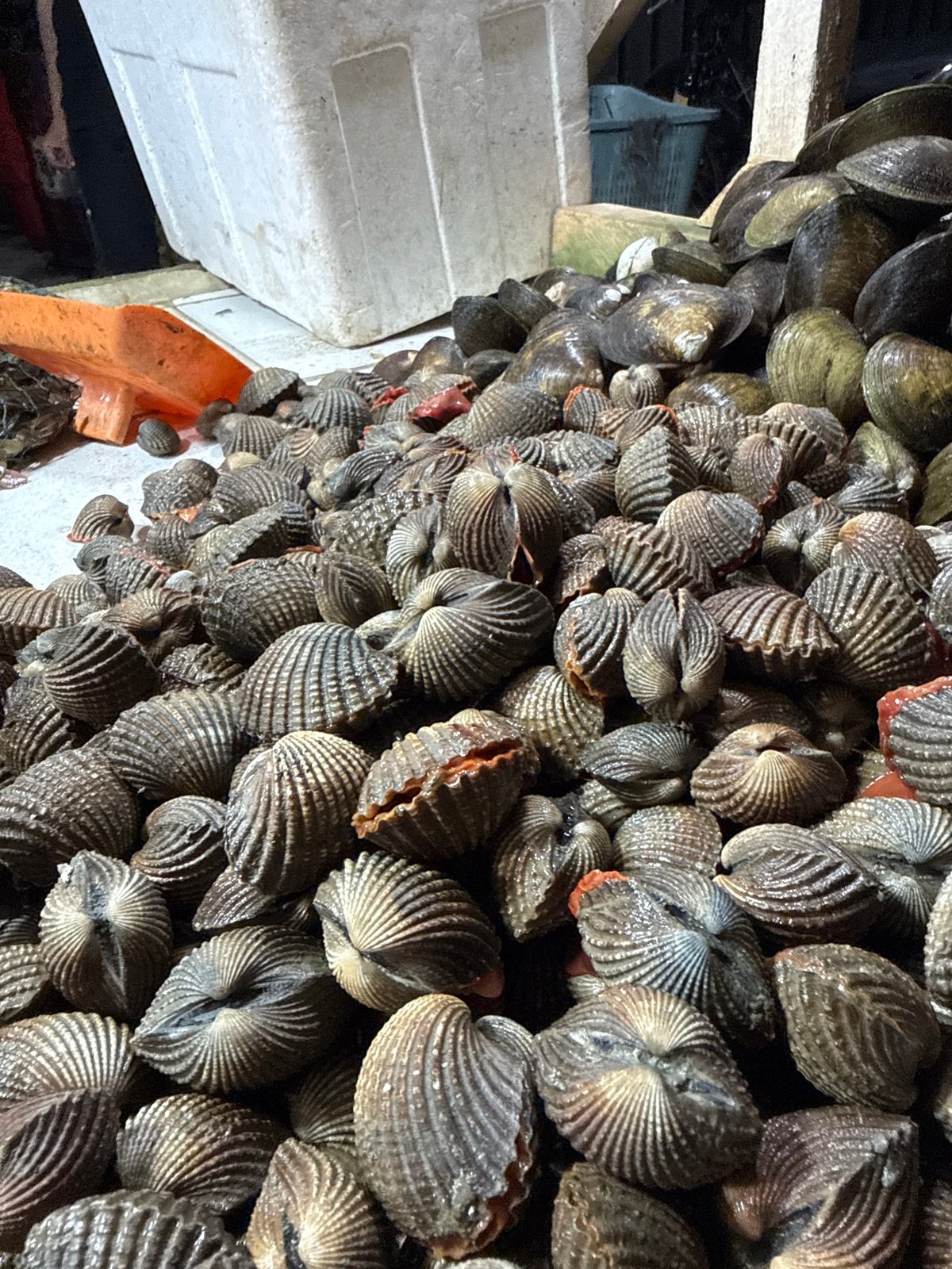 Night seafood market operates in Lhokseumawe, Indonesia
