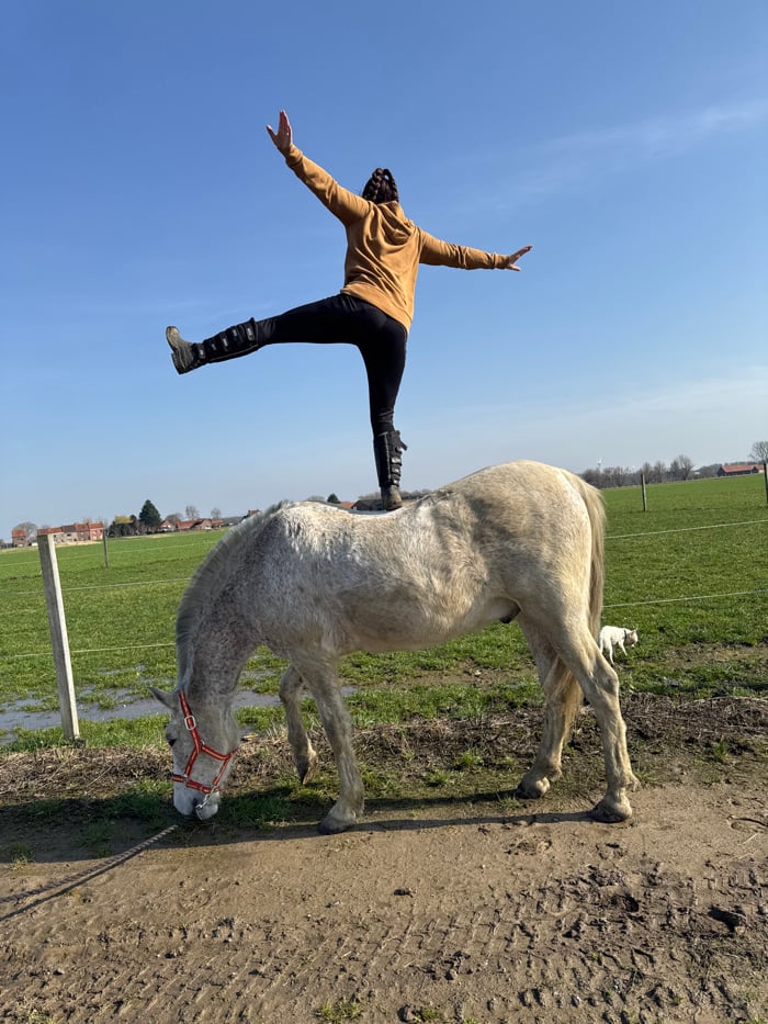 Person performs balancing act on horse in Estaimpuis, Belgium