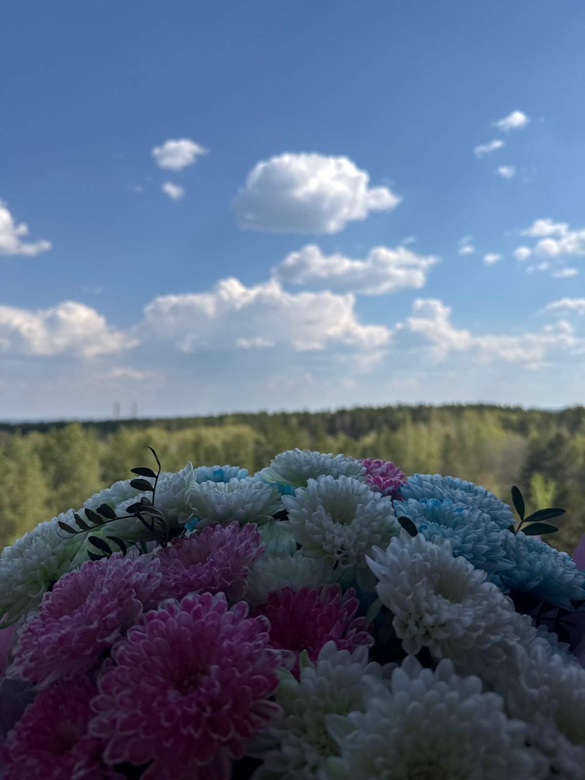 Everyday moments captured across Chaikovsky during sunny morning