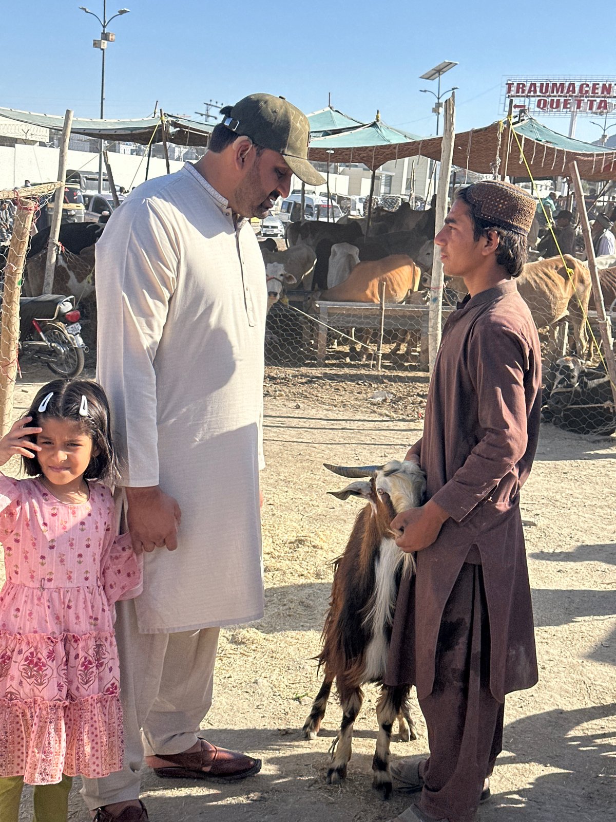 Livestock market bustles with goat, cattle trading in Quetta