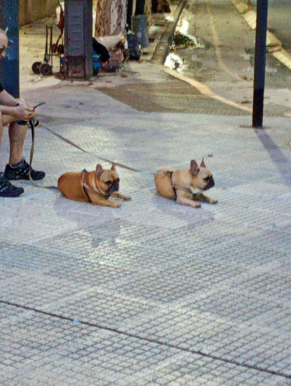 Evening scenes from Buenos Aires churches and streets