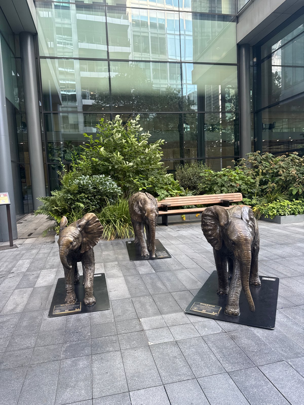 Bronze elephants and a koi pond outside a London glass building