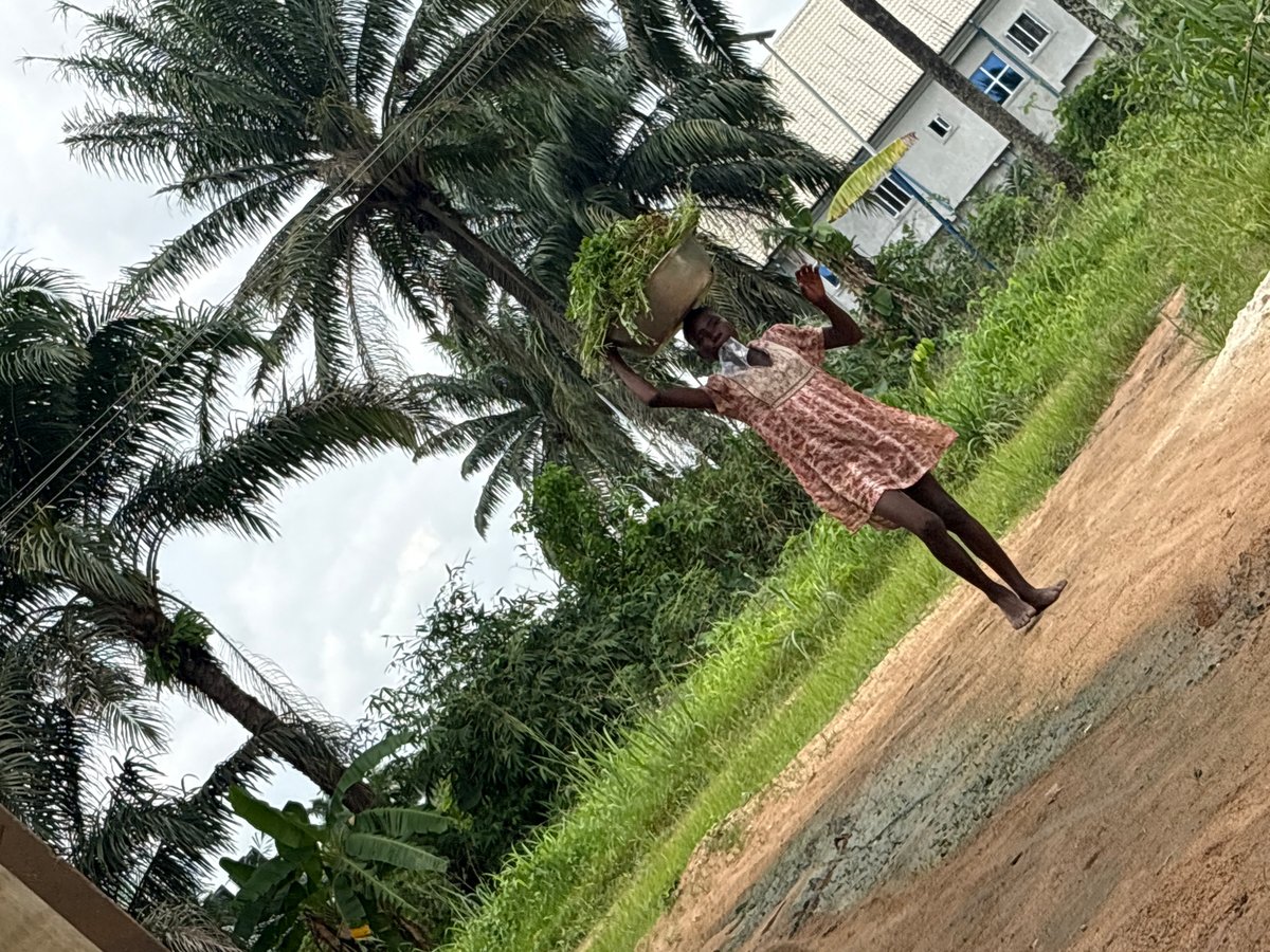 Daily life moments captured across Ikot Ekpene, Nigeria