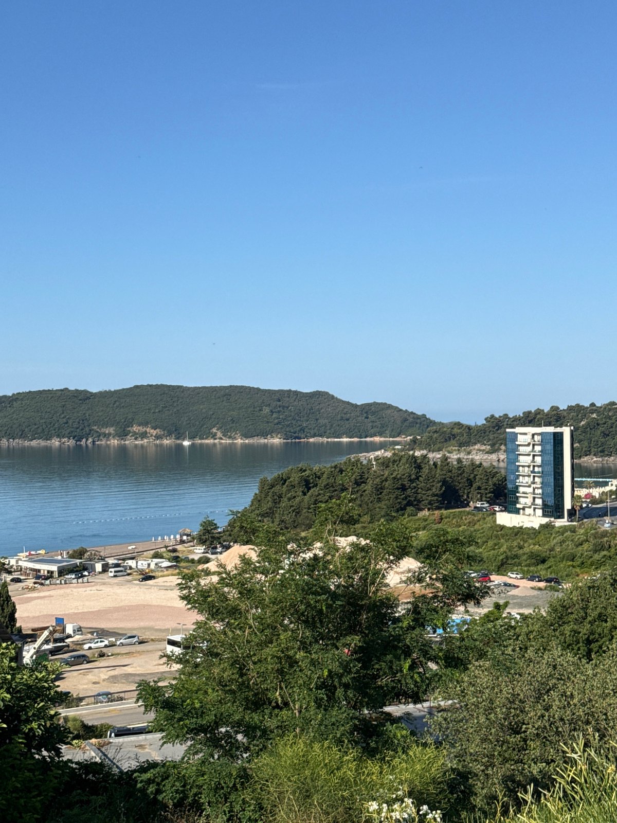 Morning documentation captures blooming gardens and clear skies in Boreti