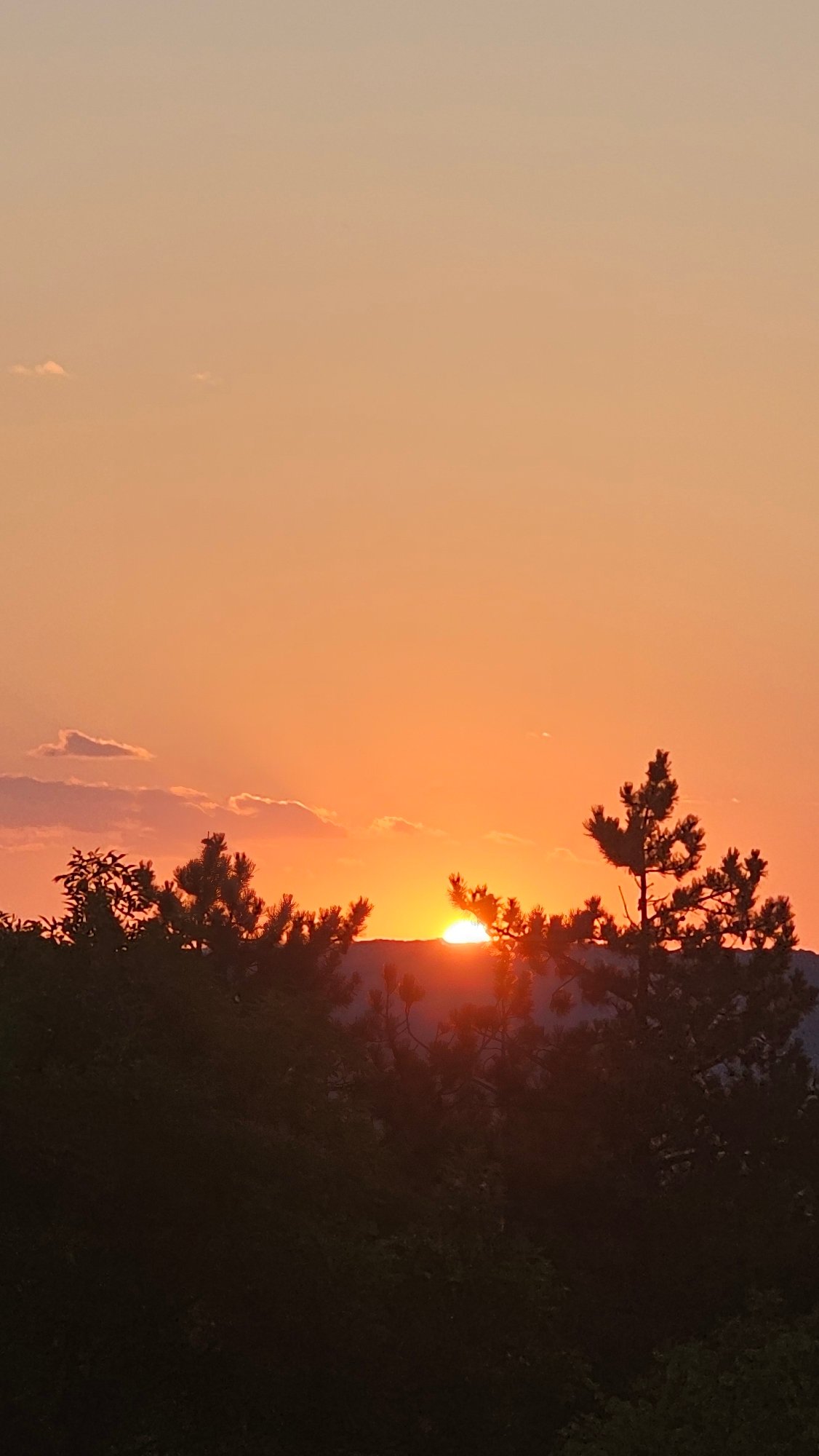 Sunset views over Stara Zagora from a forested hilltop