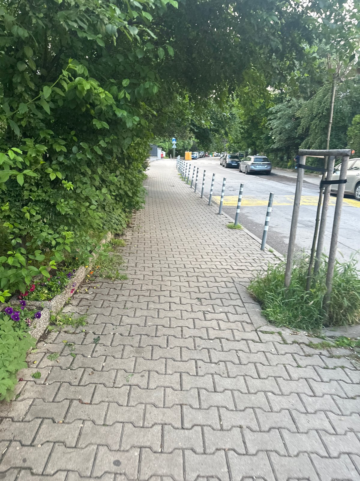 Street scenes and decorative items documented in Sofia