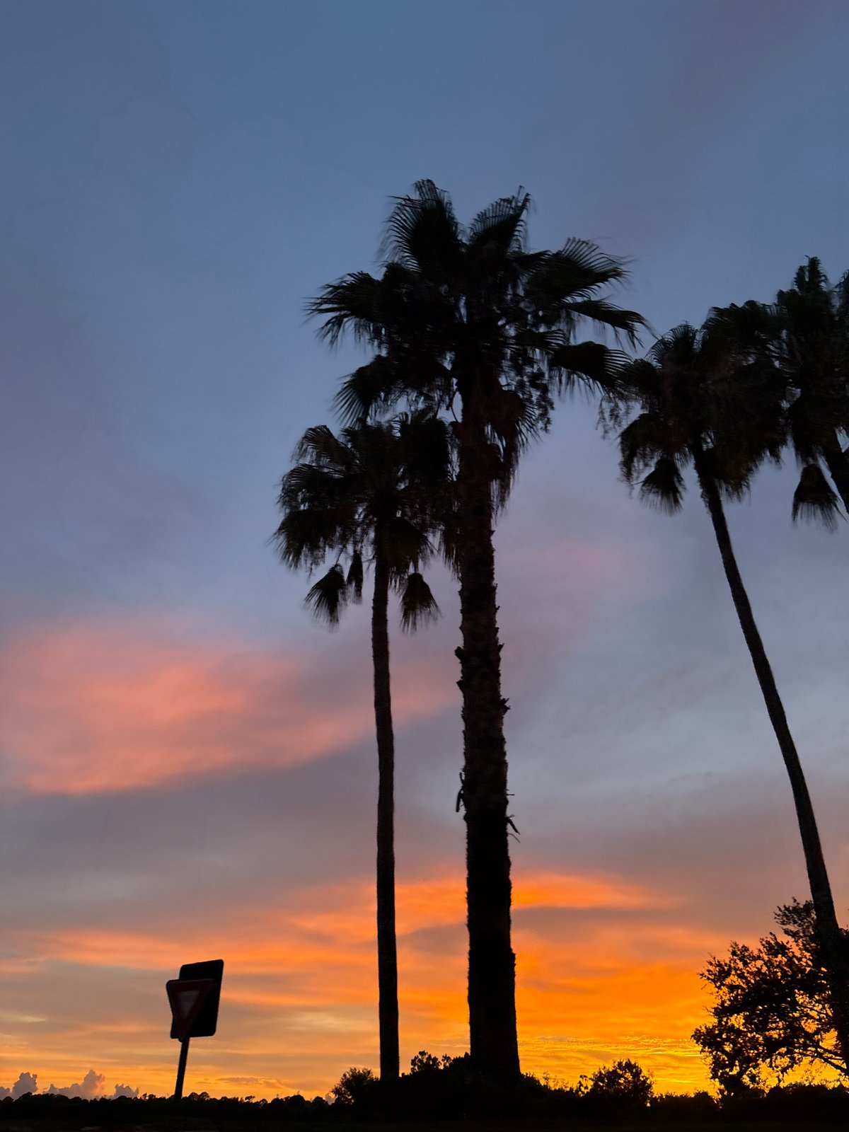 July 4th sunset lingers over North Port's palm-lined streets