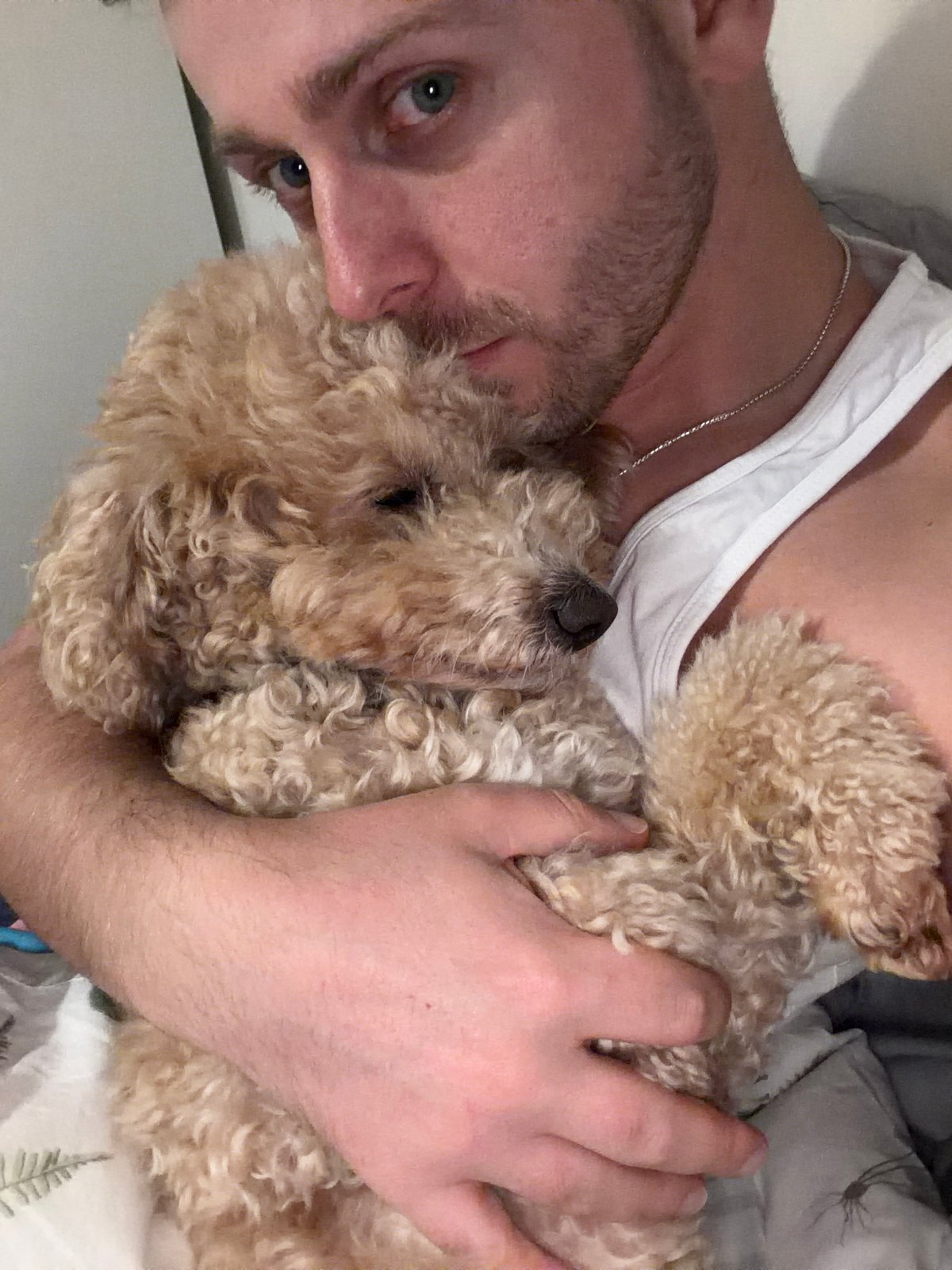 Londoners capture casual selfies with pets during evening hours