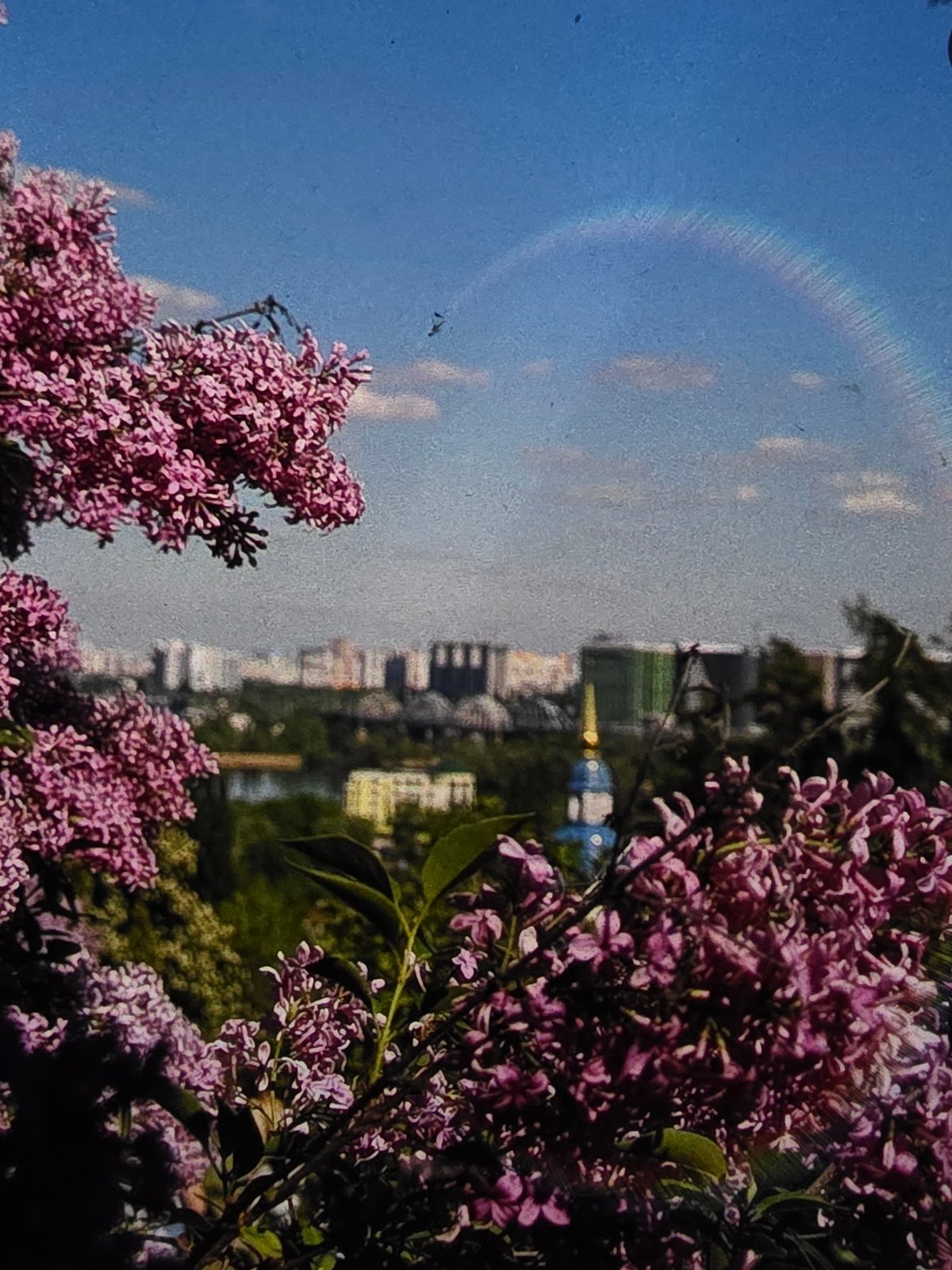 Lilacs, golden spires, and a trolleybus in a blooming city