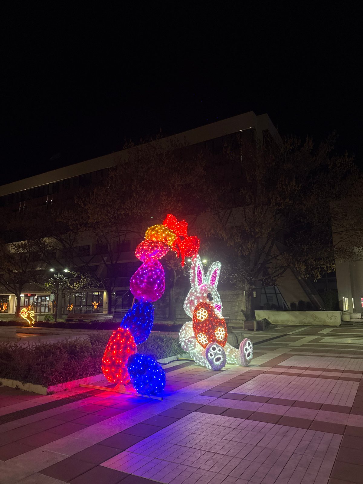 Nighttime scenes captured in Blagoevgrad featuring illuminated decorations, cinema