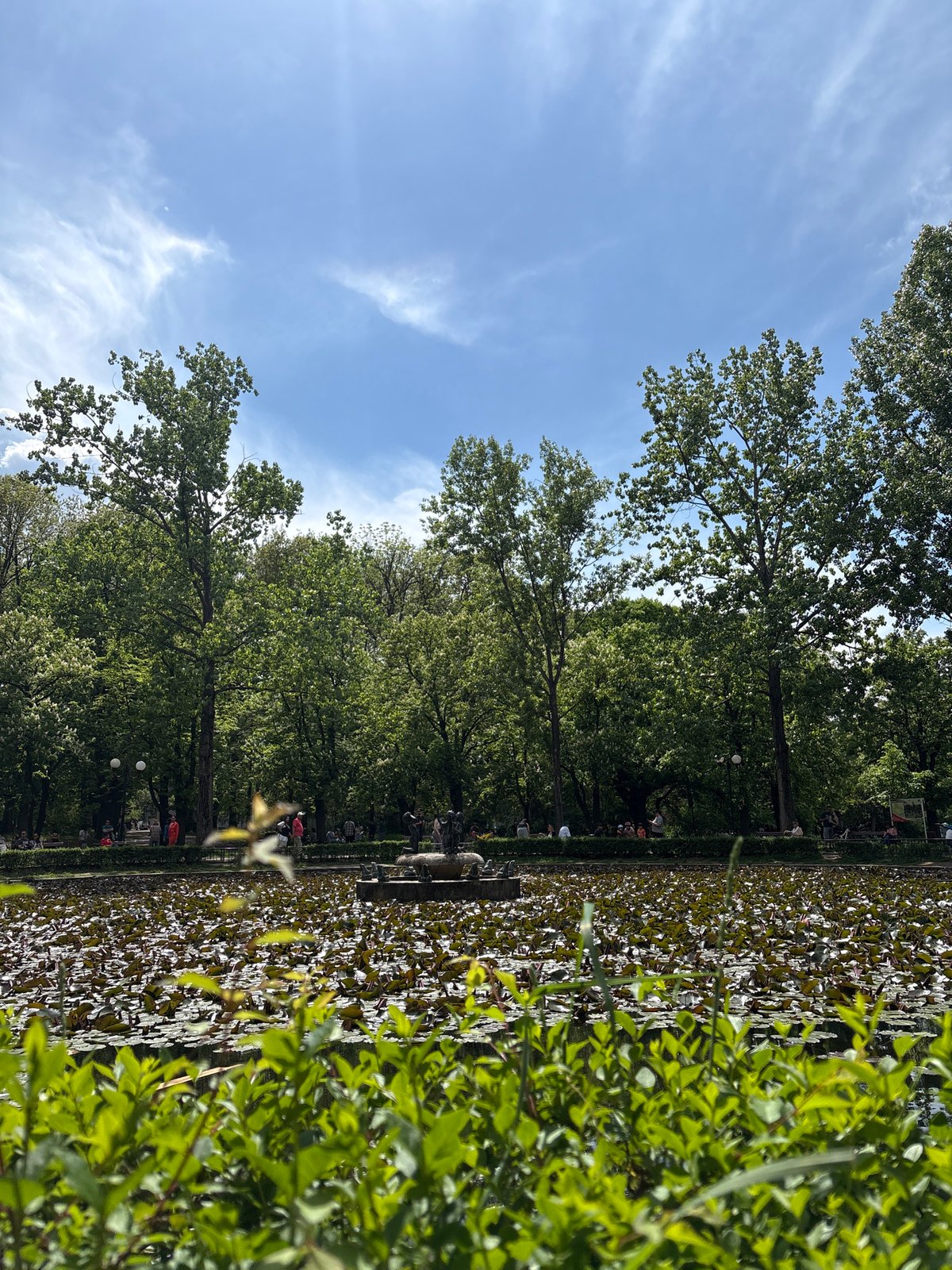 Witness documents hour-long journey through parks and wooded areas