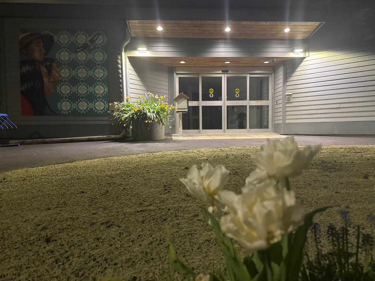 Late-night documentation of Surrey building with Indigenous murals, spring flowers