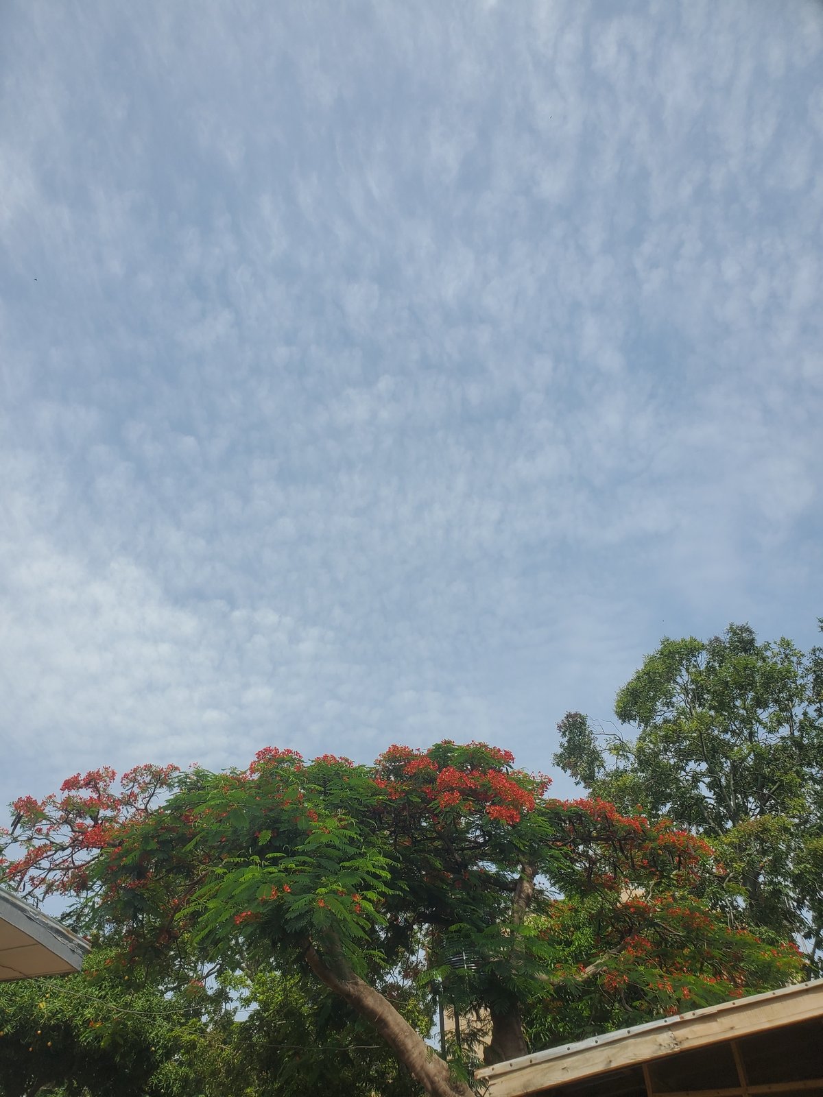 Morning street scenes and sunny skies across Jos, Nigeria