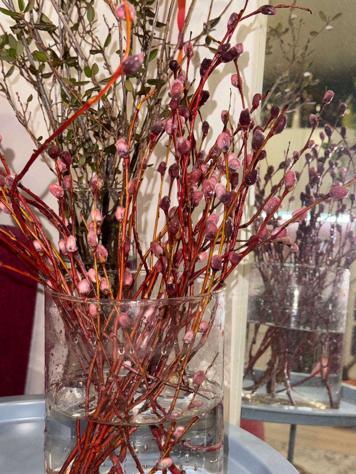 Pussy willow branches arranged with dyed water in Krasnoyarsk