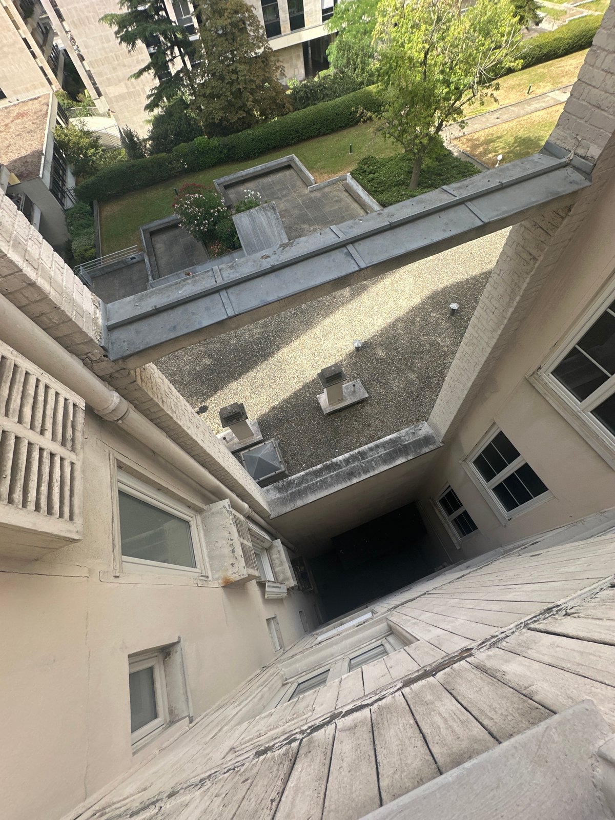 Lazy Paris apartment morning: sleeping cat, cameras, and courtyard views