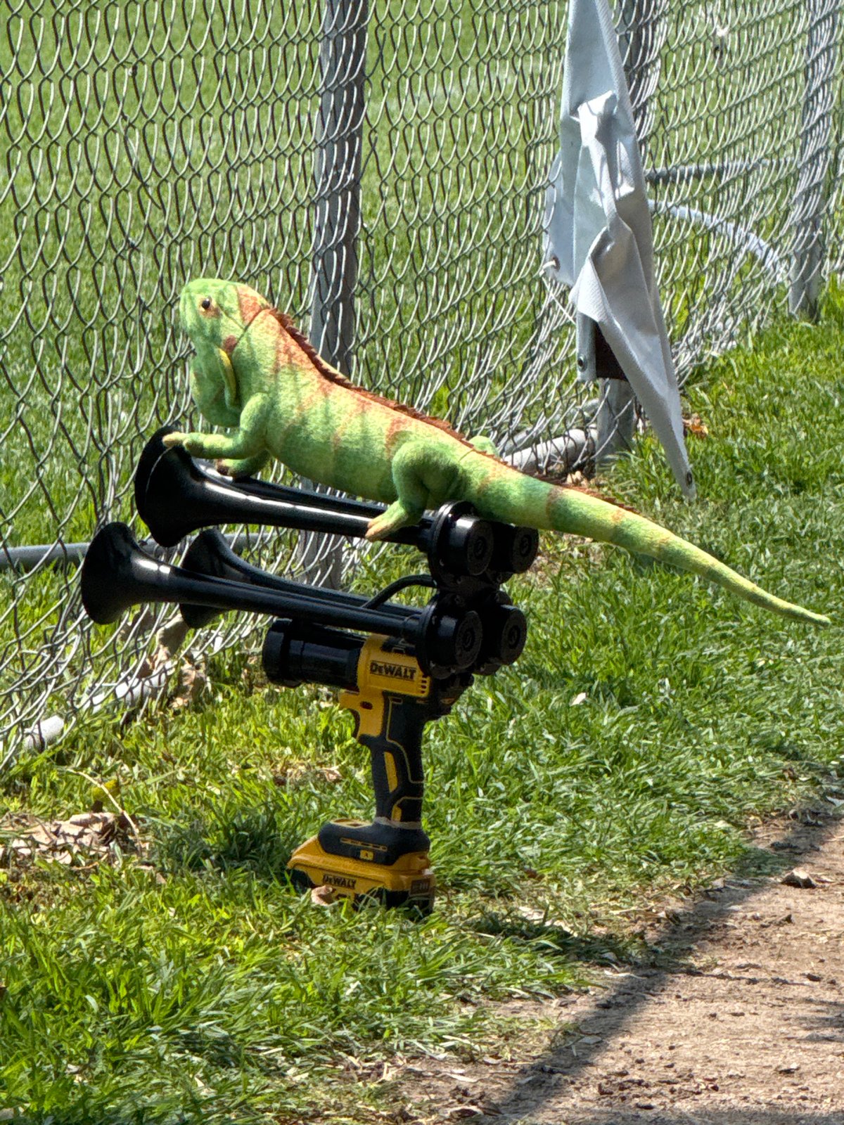 Stuffed iguana sits atop drill-mounted train horn in Mexico