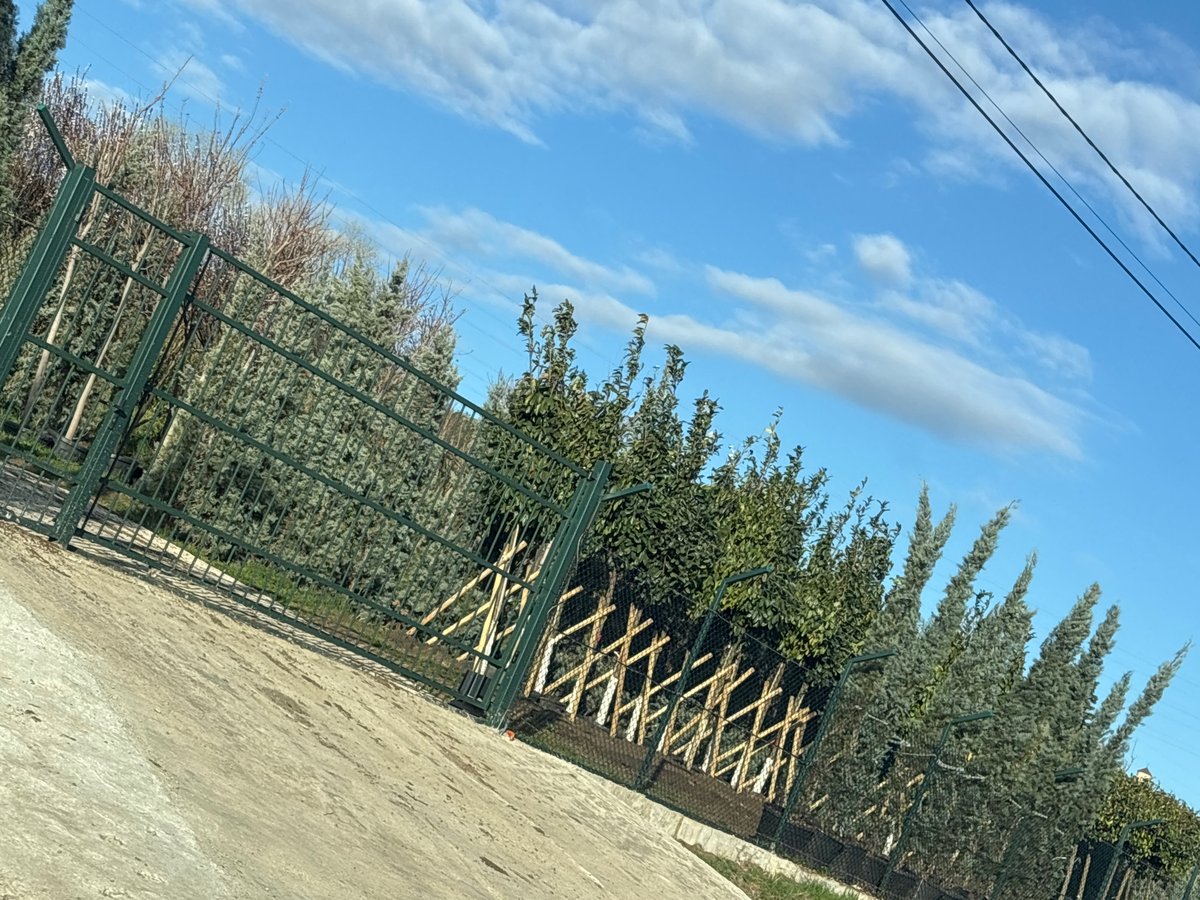 Early morning drive captures overgrown urban infrastructure in Tbilisi