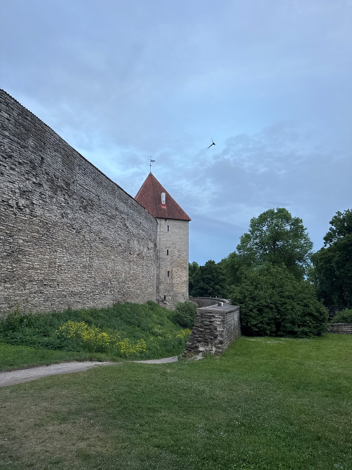 Tourist documents two-hour walking tour of Tallinn's medieval Old Town