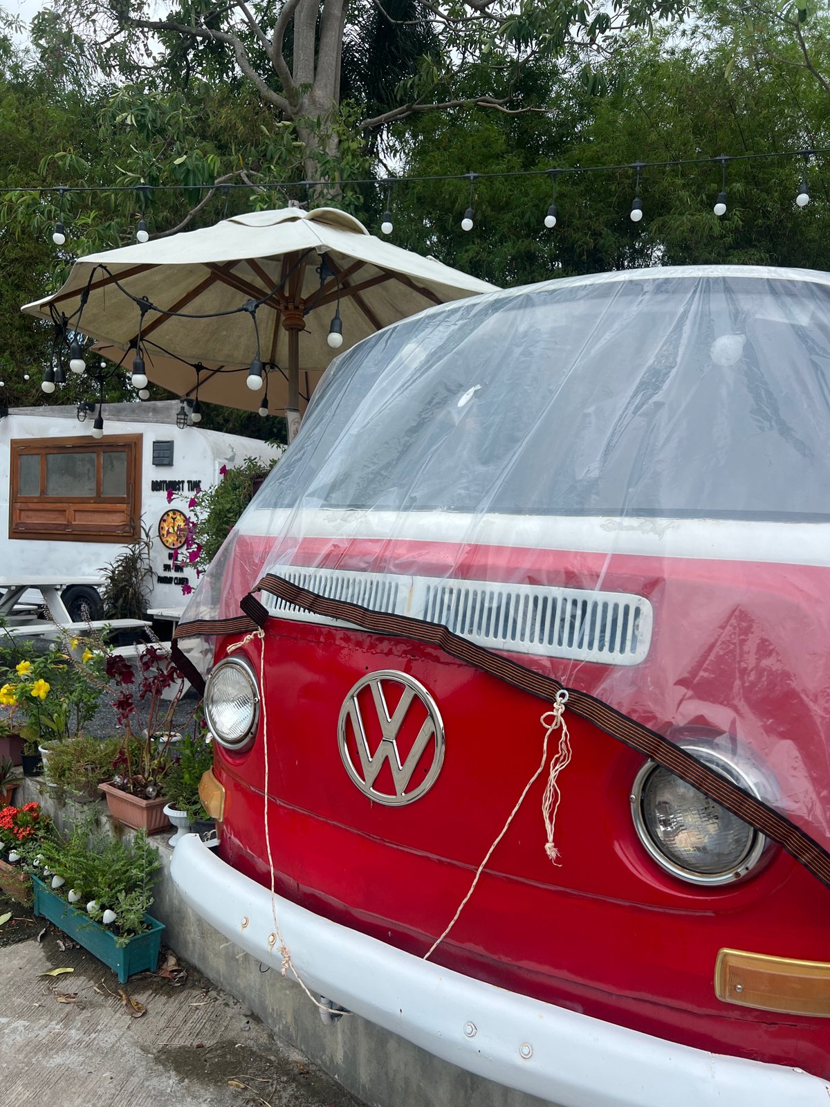 Witness documents tropical outdoor scenes with vintage vehicles and flora