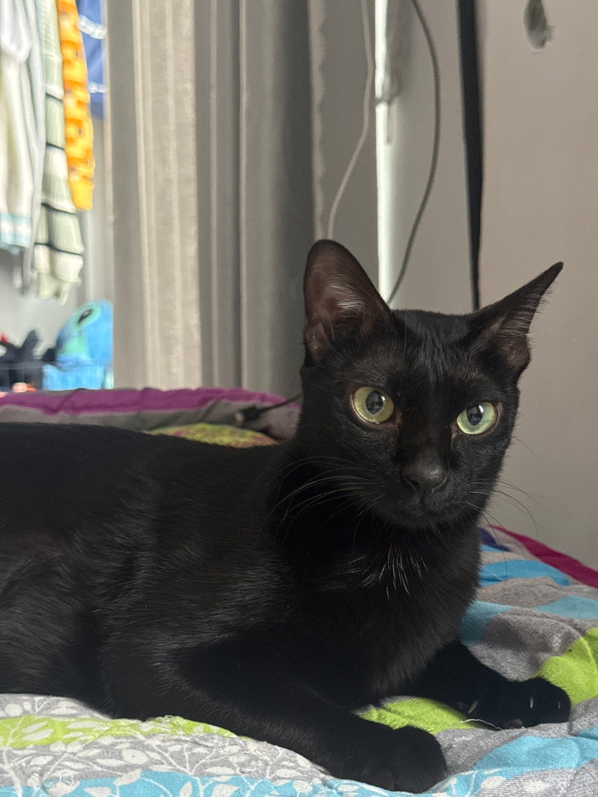 Woman and black cat photographed in bedroom, Mũi Né