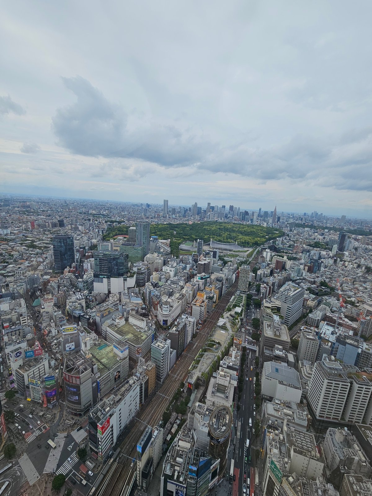 Aerial cityscape with central park observed under overcast skies