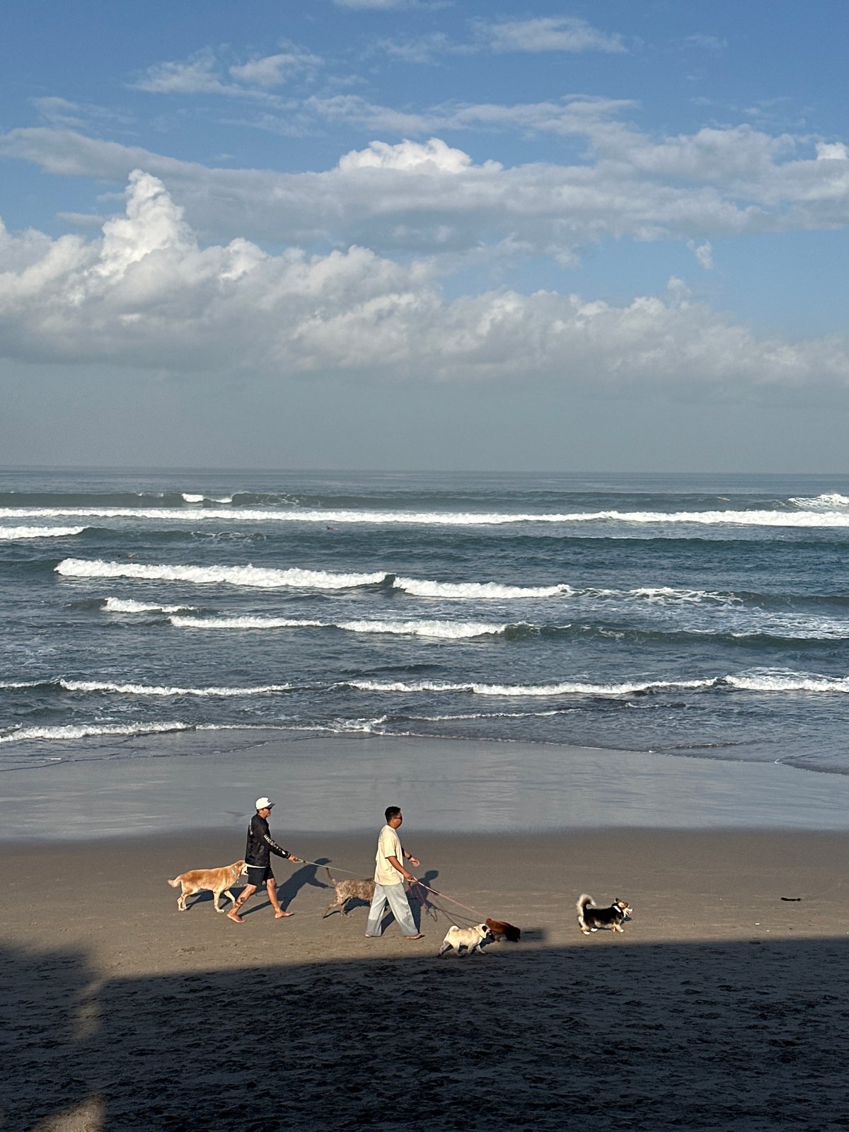 Dogs, surfers, and wet sand on a North Kuta morning