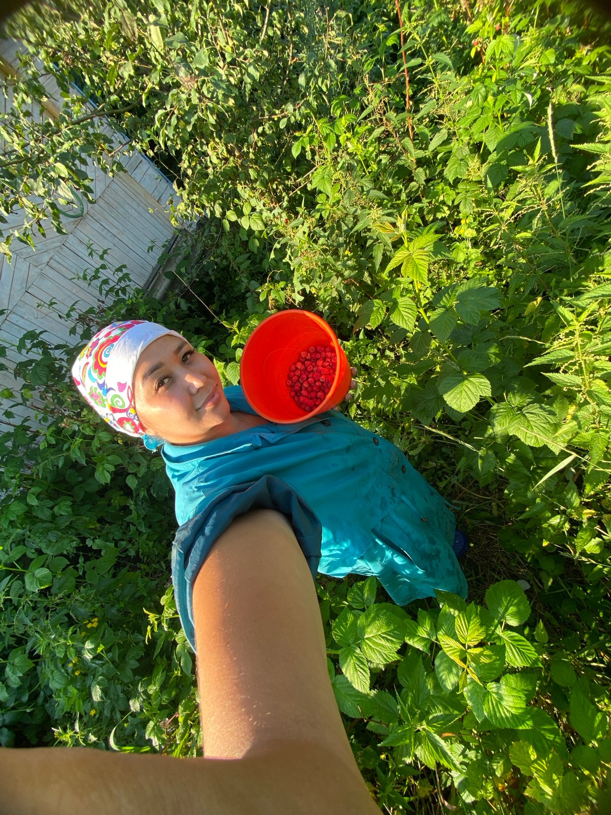 Summer garden morning: raspberries, wildflowers, and selfies in rural Russia