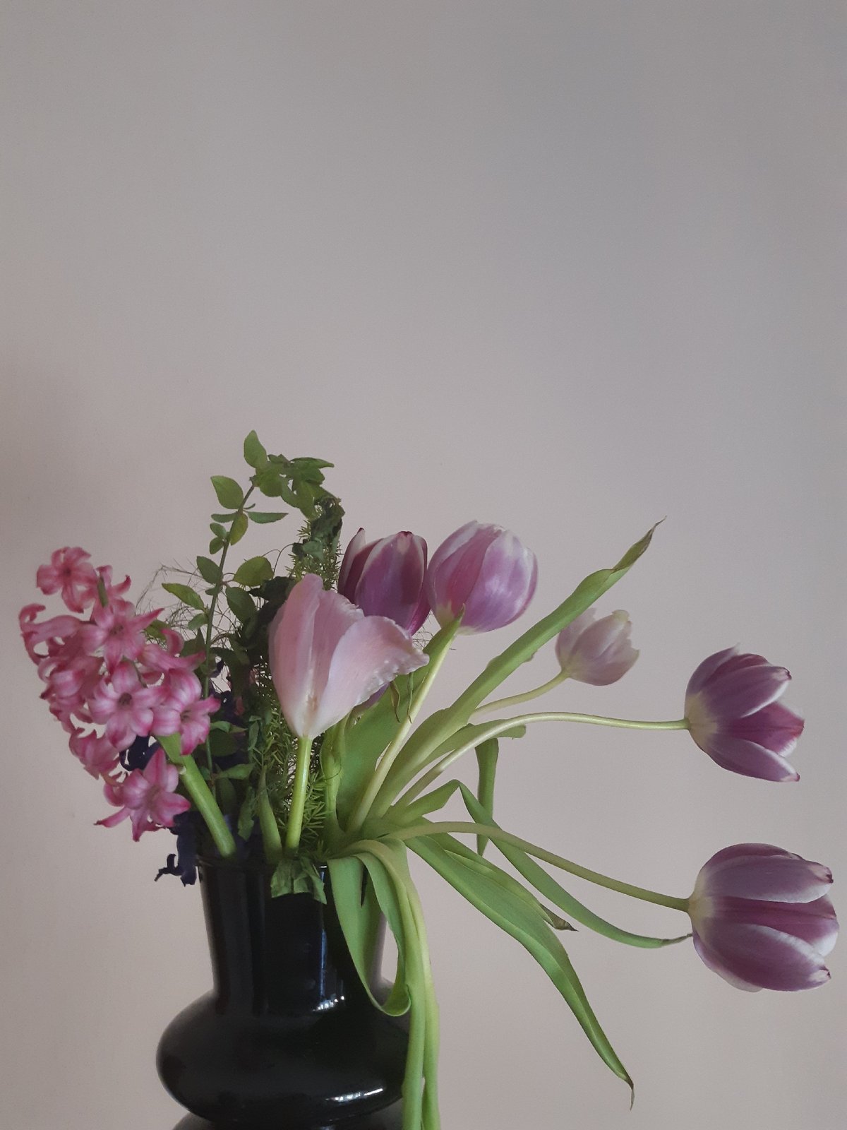 Spring morning still life captured in Plovdiv cafe