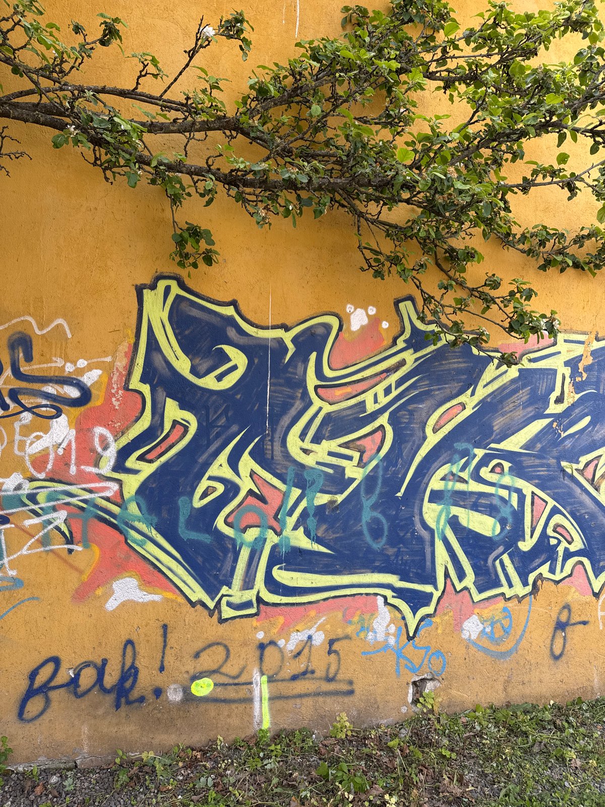 Street art and spring blooms documented in Tallinn