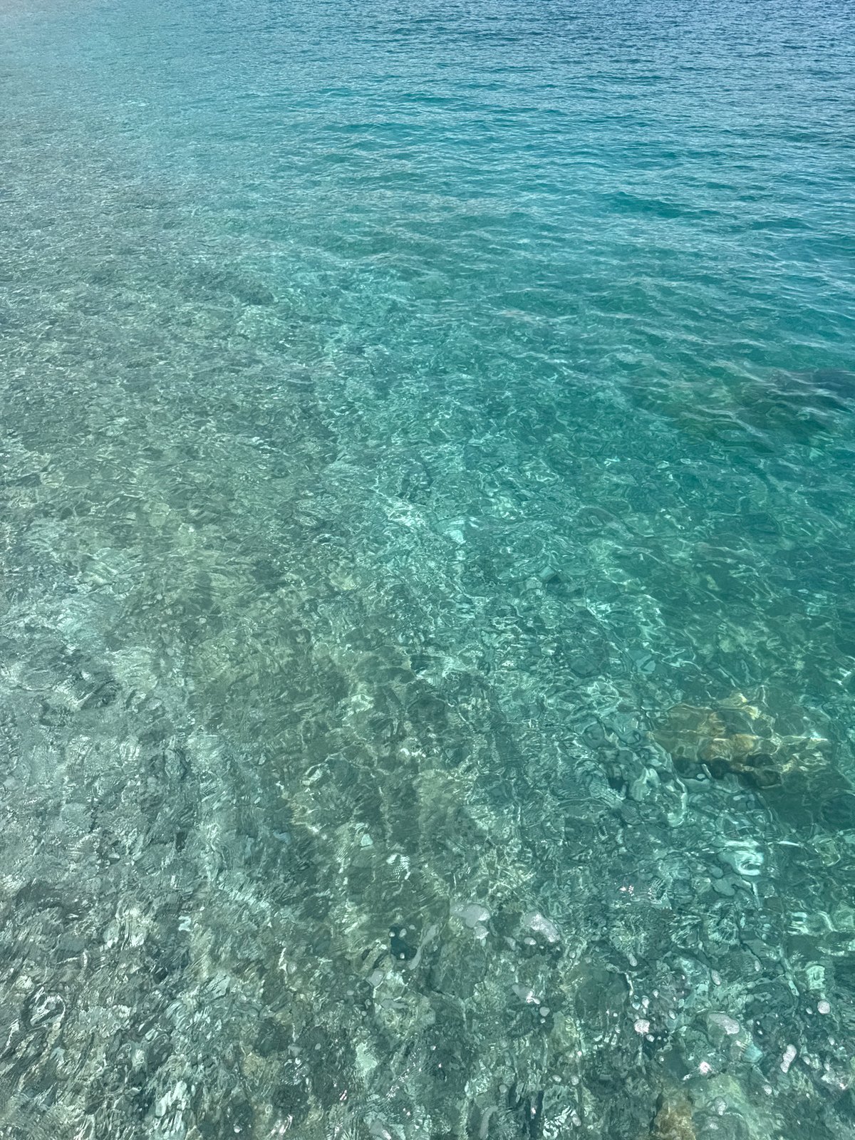 Witness documents peaceful Adriatic coastal scenes with sailboat in Montenegro