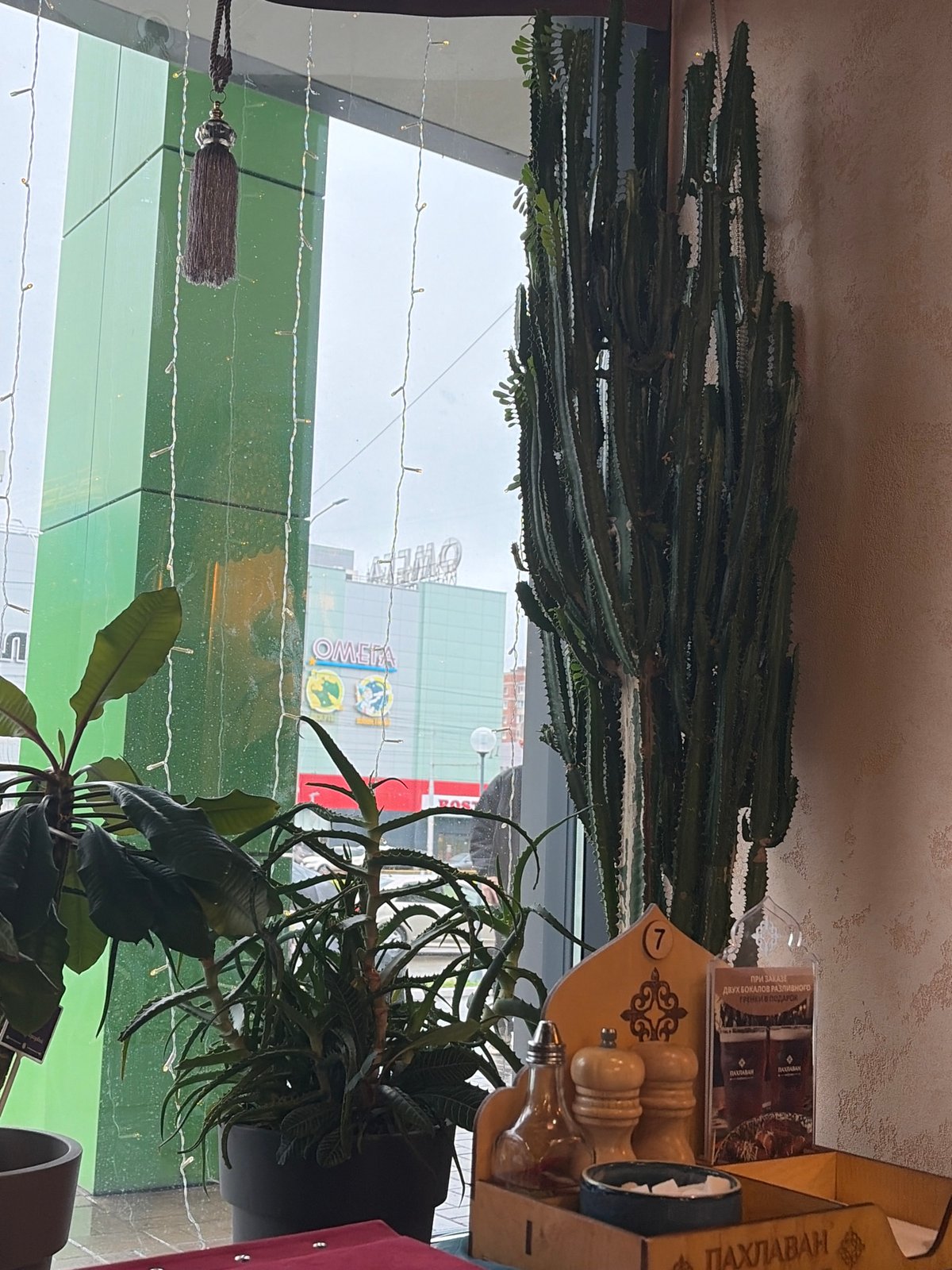 Rainy afternoon café stop in Izhevsk, soup and city streets