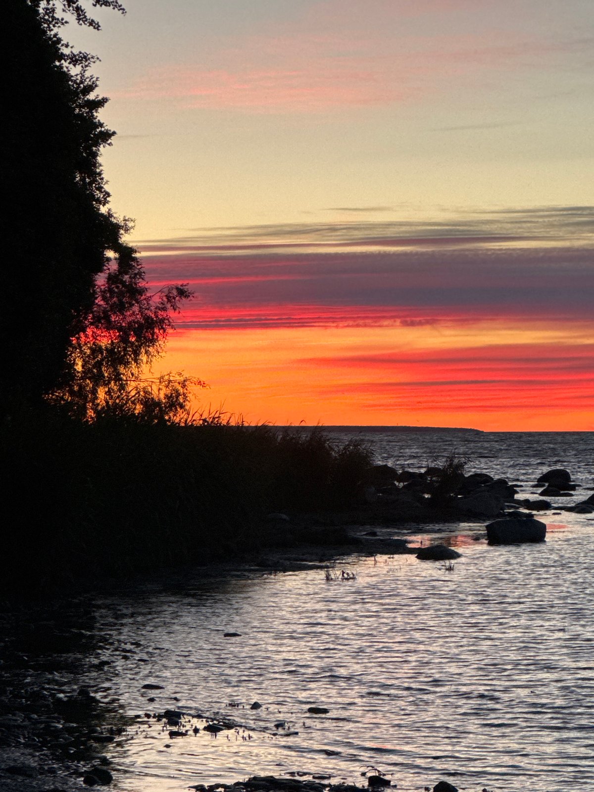 Baltic sunset along Tallinn's shoreline, midsummer evening