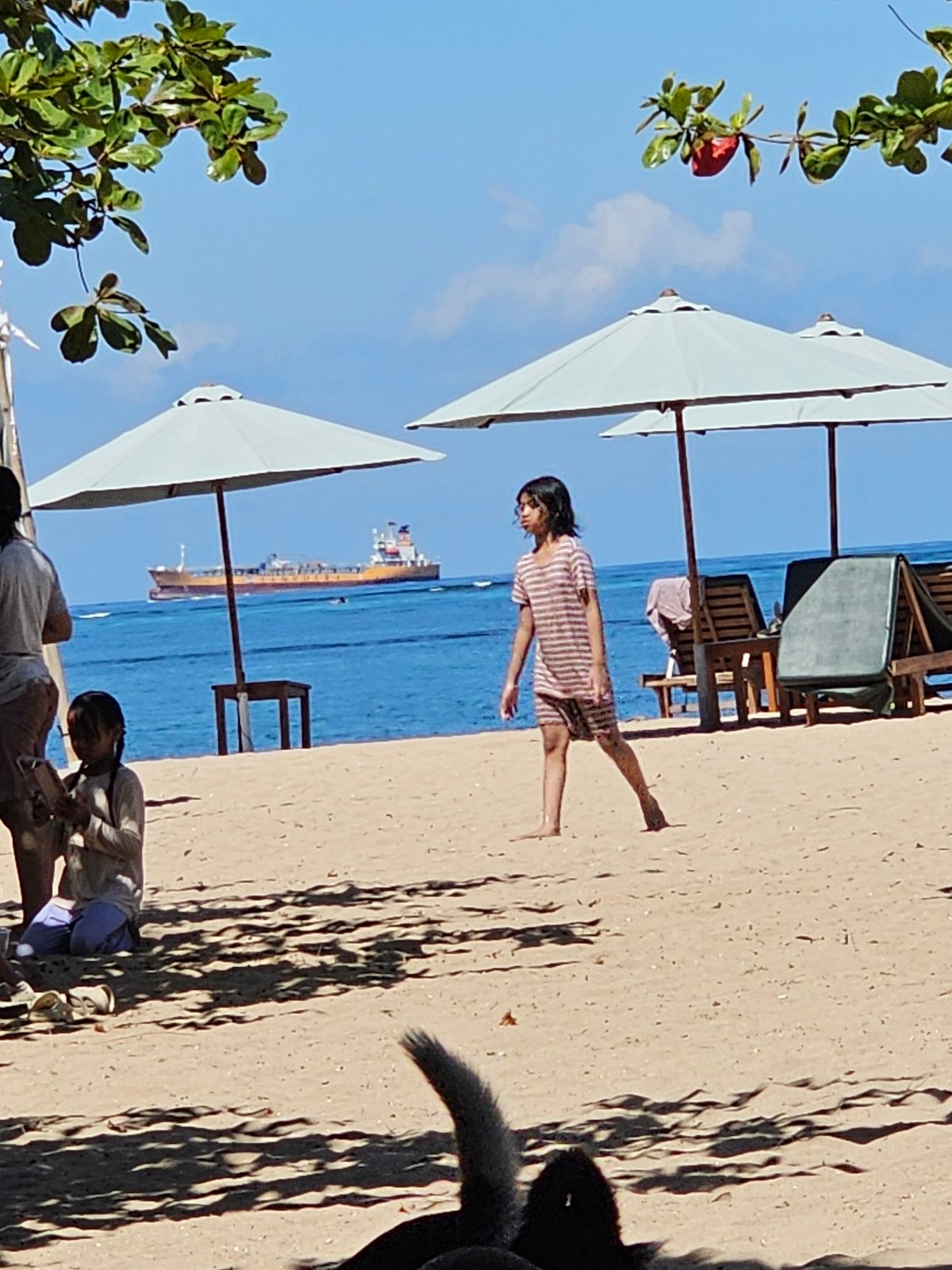 Early morning beach life documented in Denpasar, Indonesia