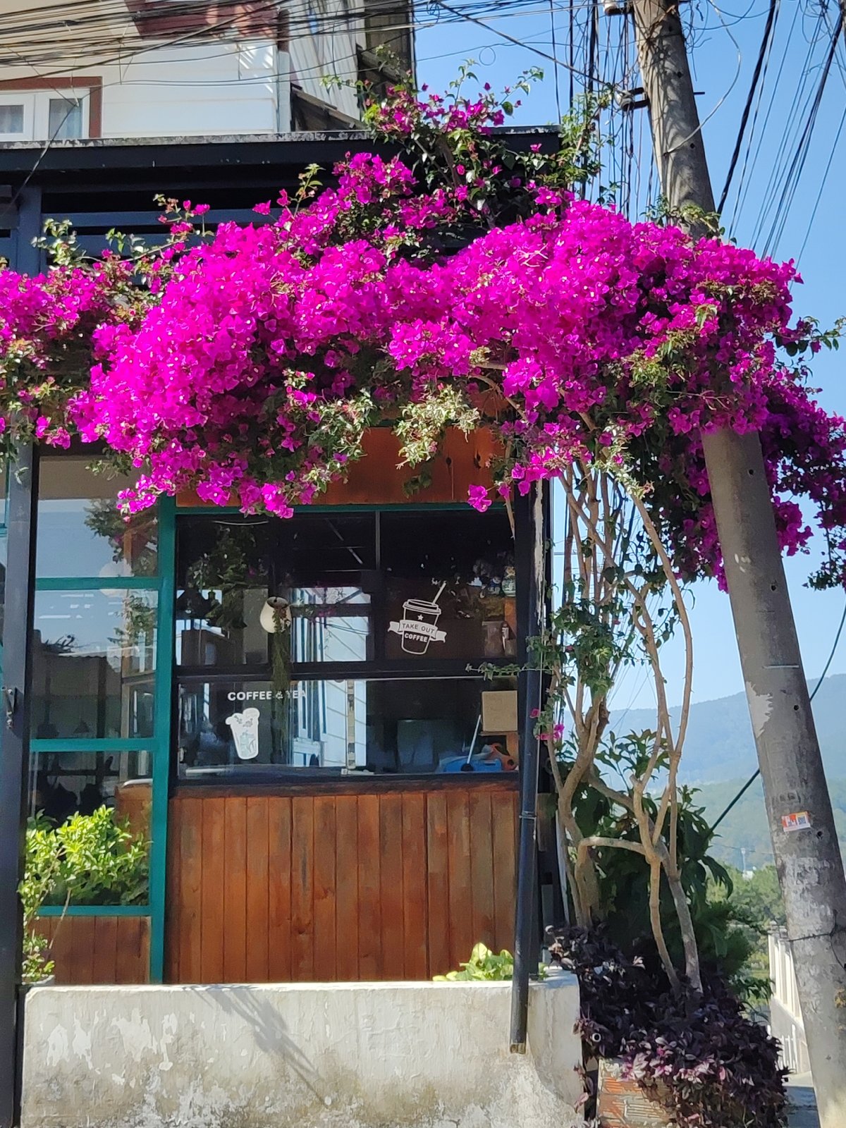 Da Lat street scenes documented across multiple neighborhoods