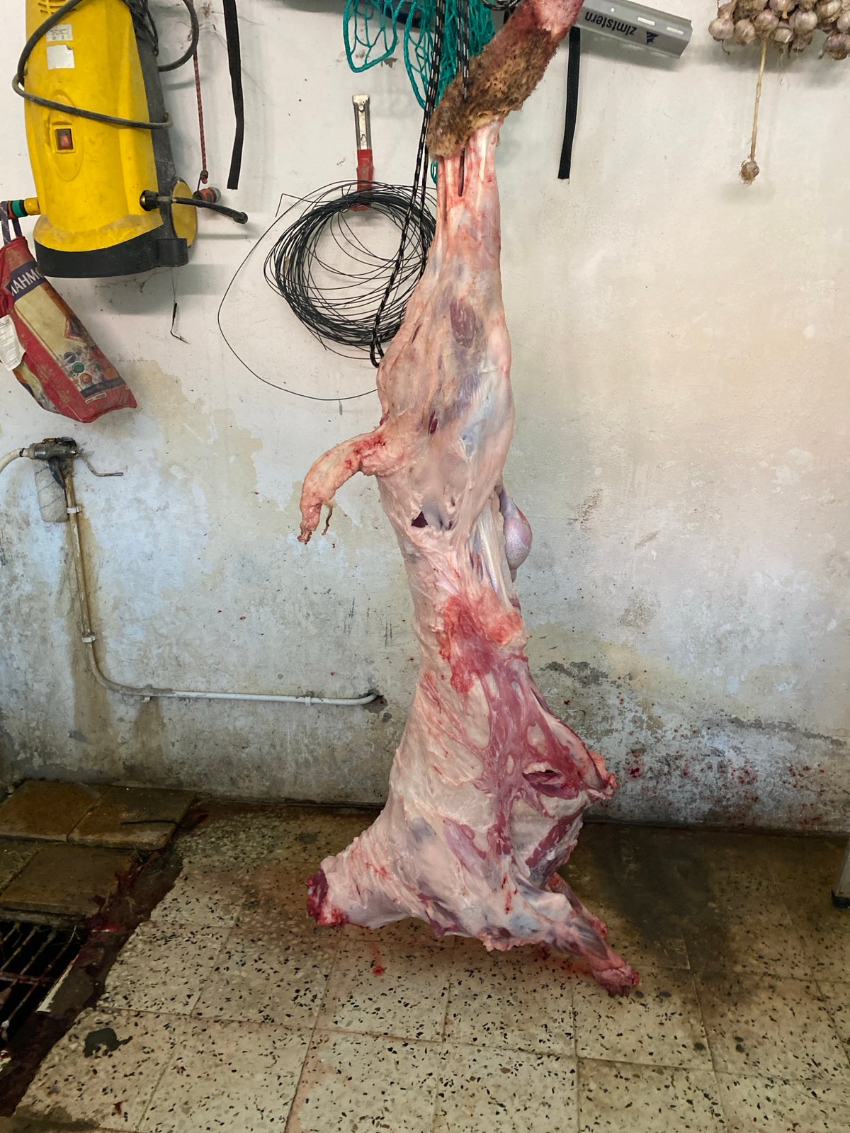 Two men butcher livestock in Baraki, Algeria