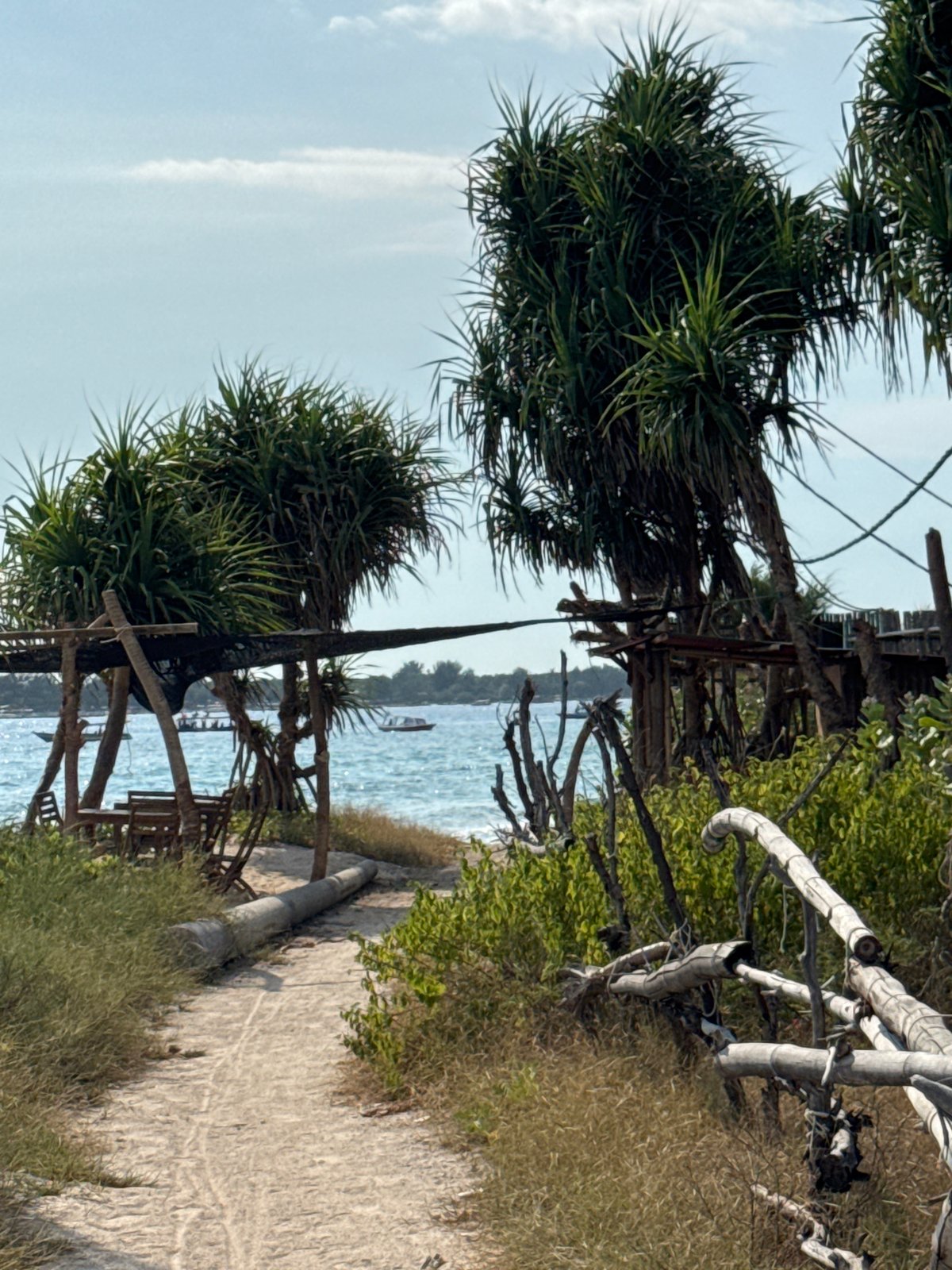 Indonesian coastal scene documented with tropical trees and thatched structure