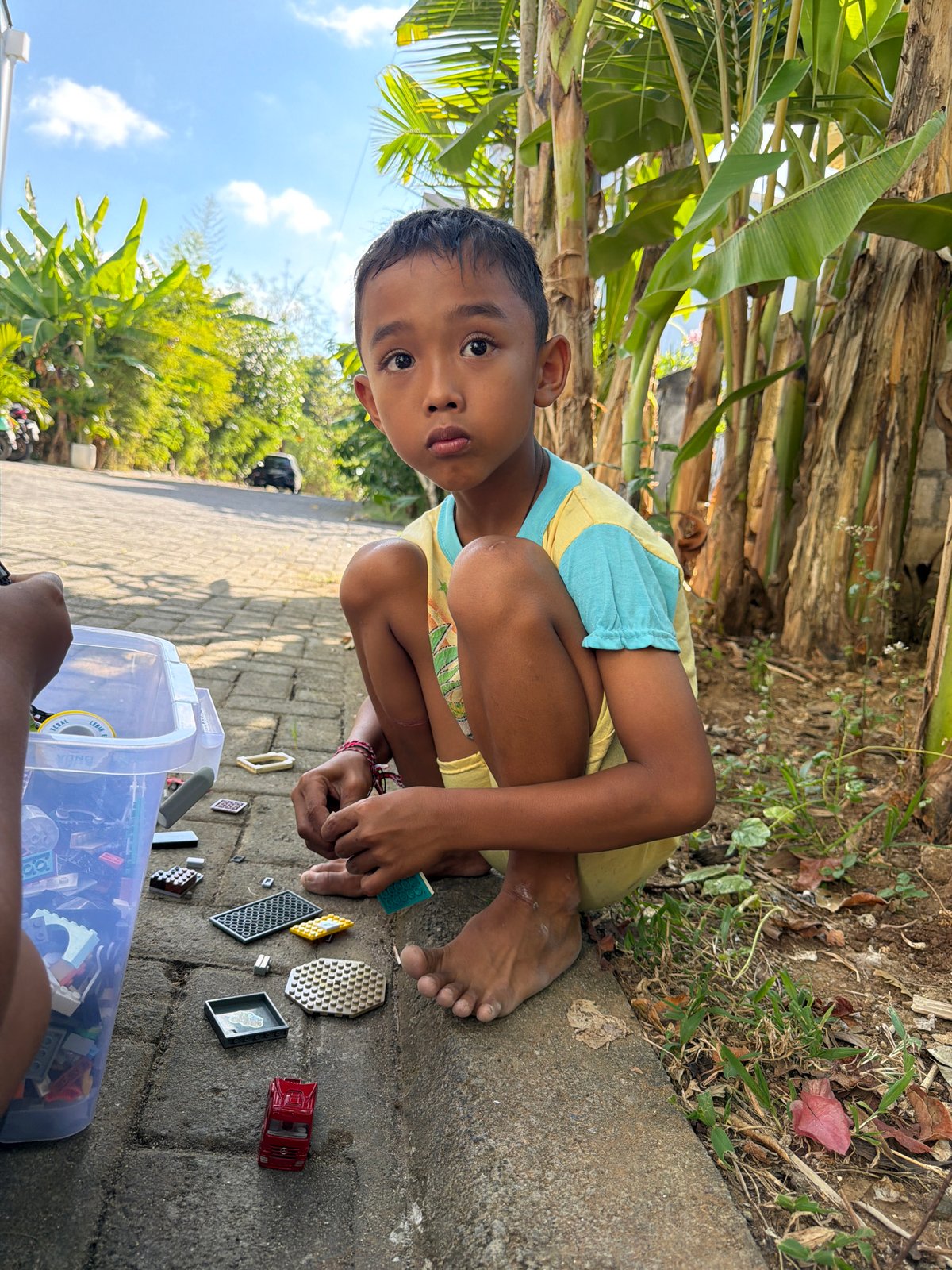 Kids, dogs, and chickens share a Bali morning outside