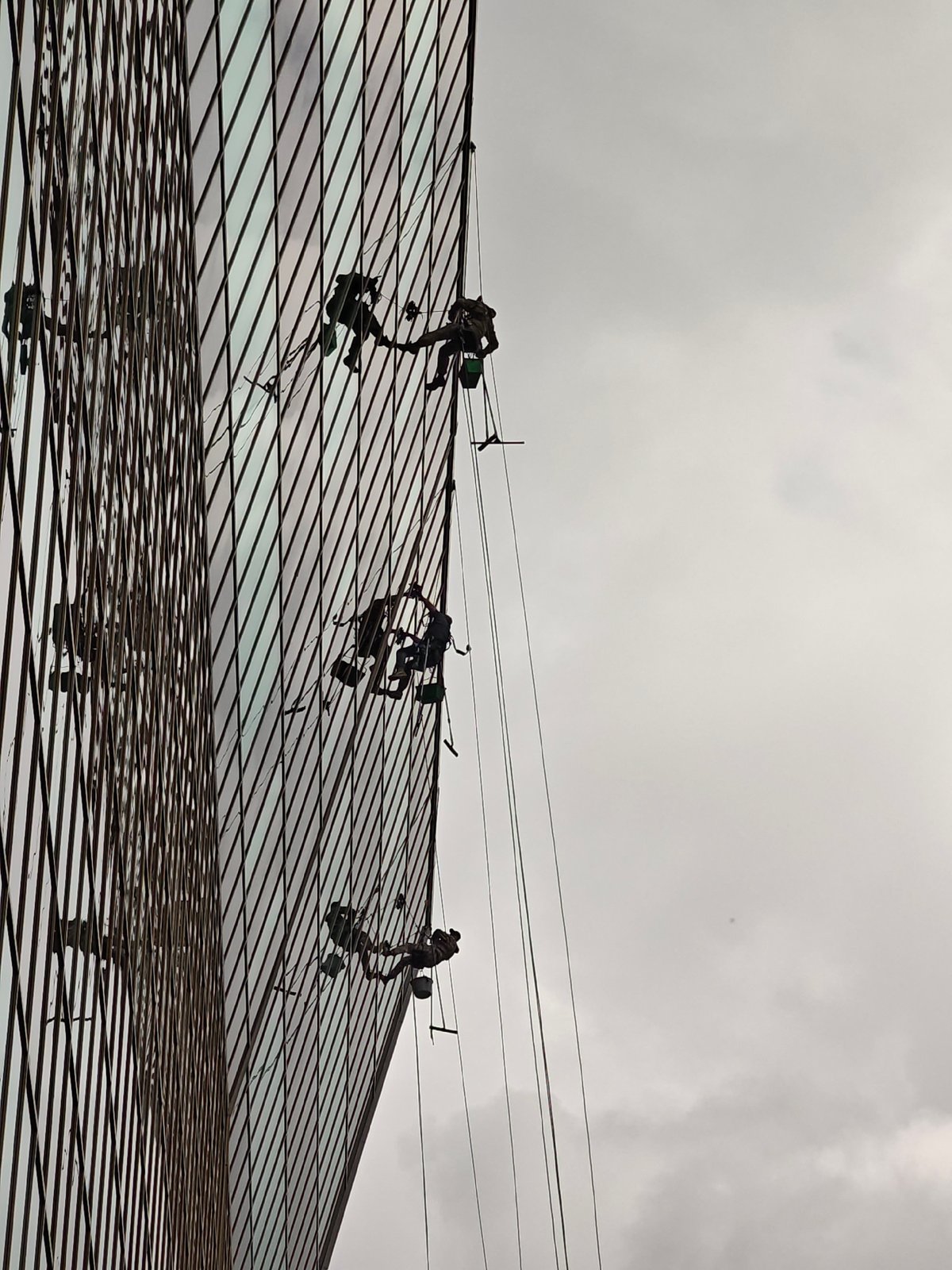 Window washers suspended by ropes clean a glass skyscraper facade