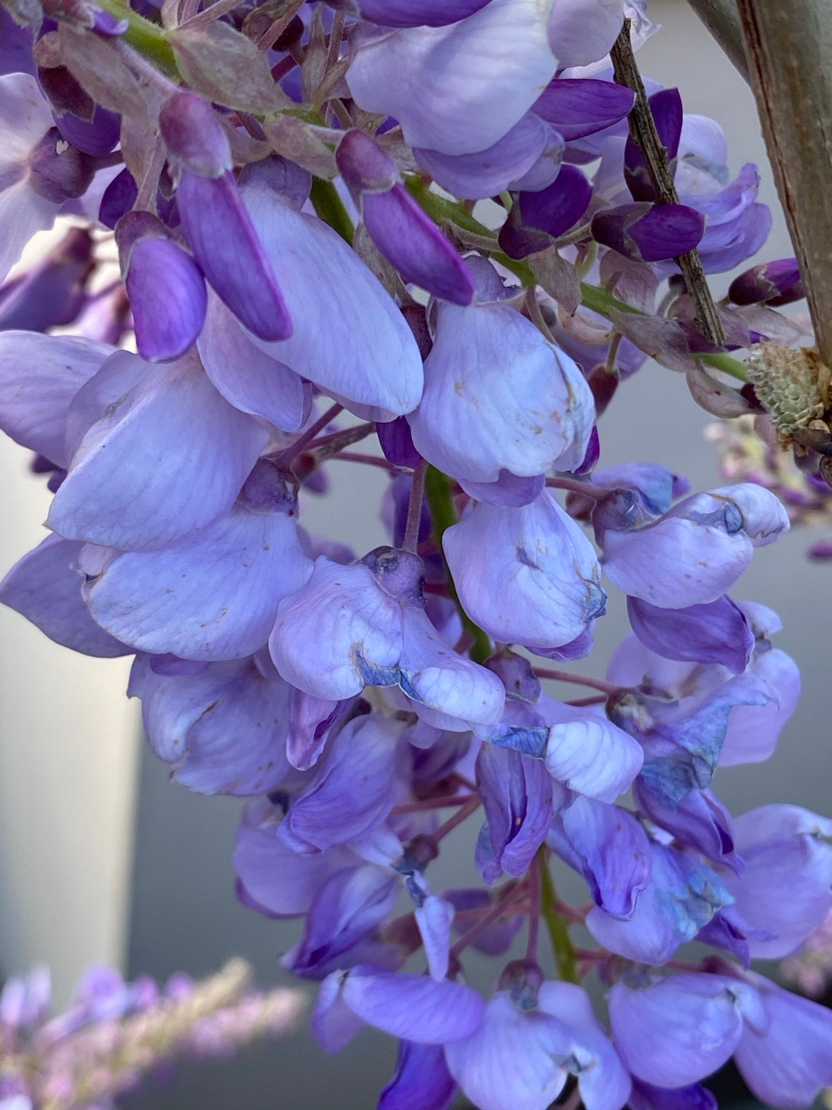 Spring morning scenes documented in Budva, Montenegro