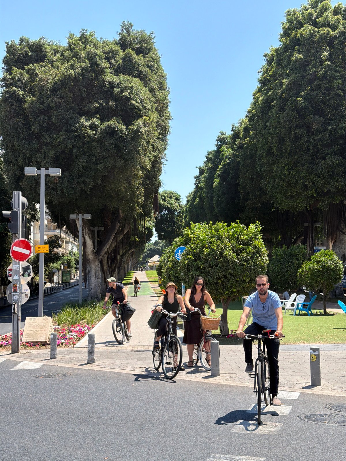 Cyclists rolling down Rothschild Boulevard's shaded bike path