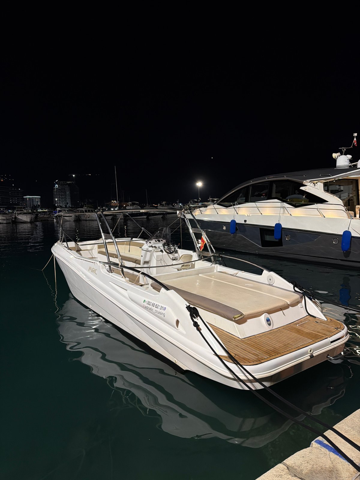 Cats and boats at Budva marina on a summer night
