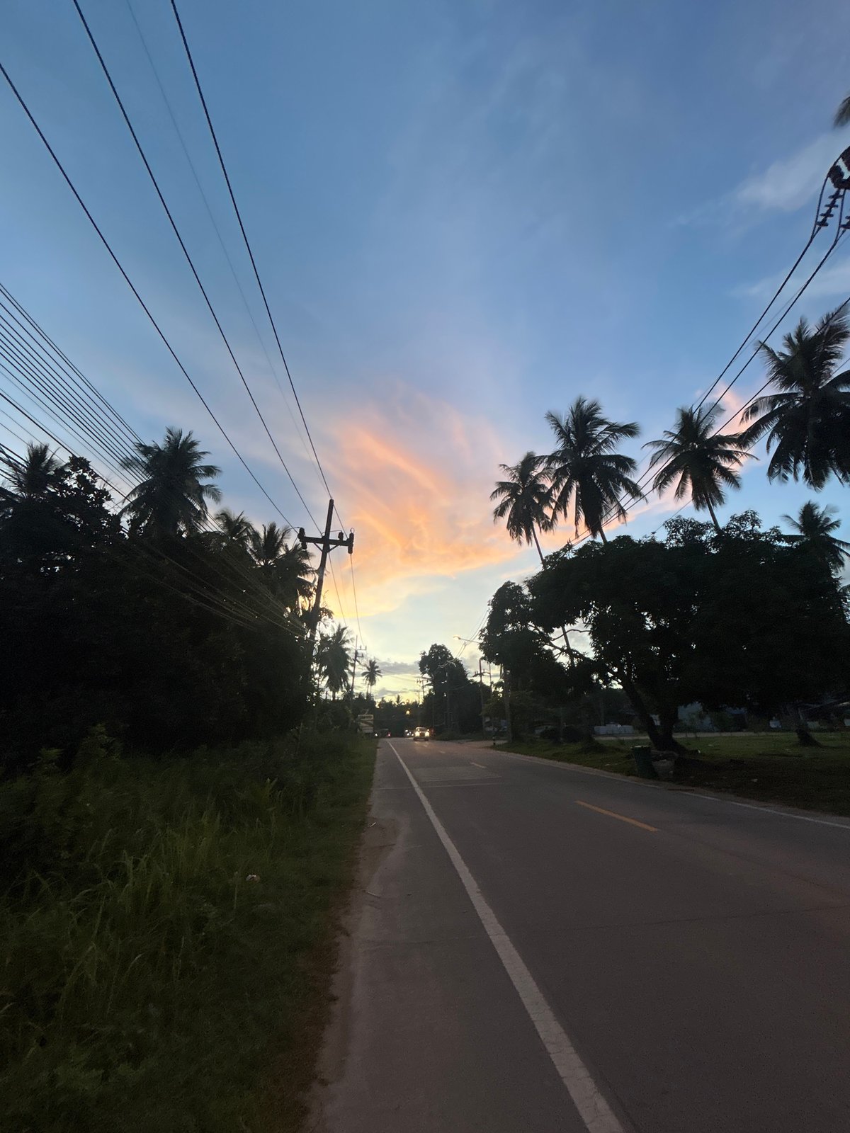 Motorcycles navigate wet tropical road during golden hour, Koh Phangan