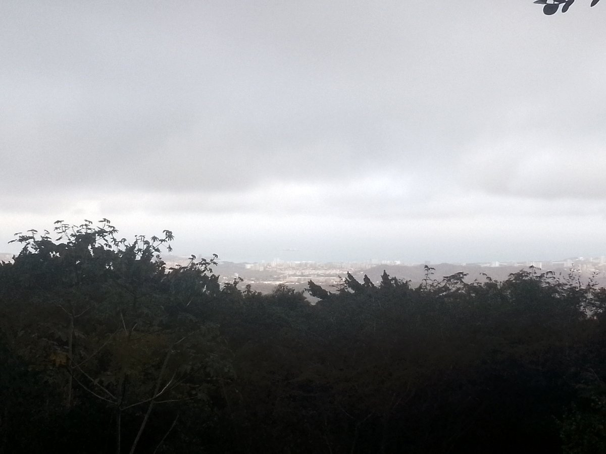 Overcast cityscape viewed through dense forest in Las Piedras